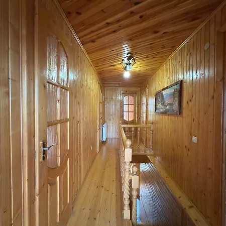 олімп Vakantiehuis Mykulychyn